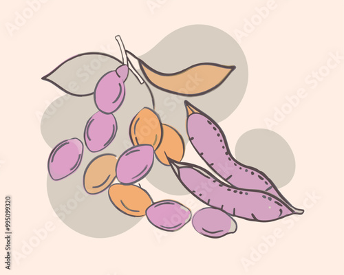 Soybean pods vector silhouette