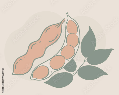 Soybean pods vector silhouette