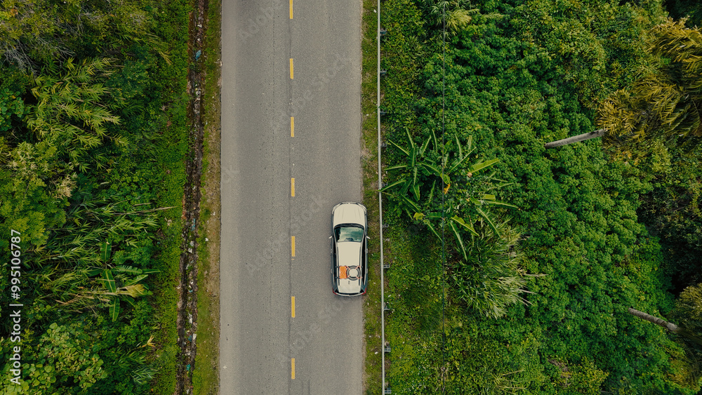 Aerial view of asphalt road in the middle of the pine forest background. Royalty high-quality free best stock of top view SUV car adventure driving on deep jungle road surrounded by lush green forest Aerial view of asphalt road in the middle of the pine forest background. Royalty high-quality free best stock of top view SUV car adventure driving on deep jungle road surrounded by lush green forest