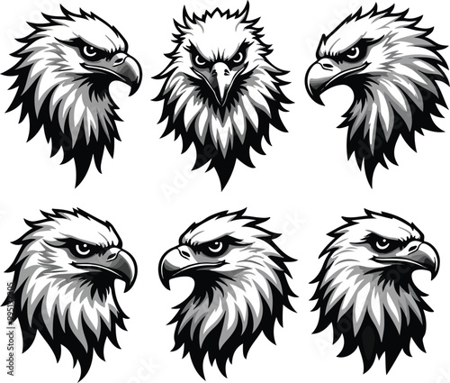 Obraz na płótnie head hawk vector logo illustration
w salonie