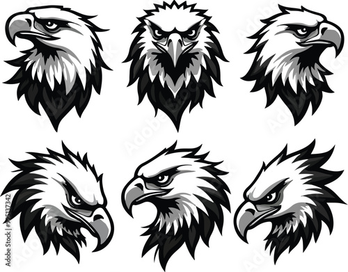 head hawk vector logo illustration
