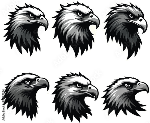 Obraz na płótnie head hawk vector logo illustration
w salonie