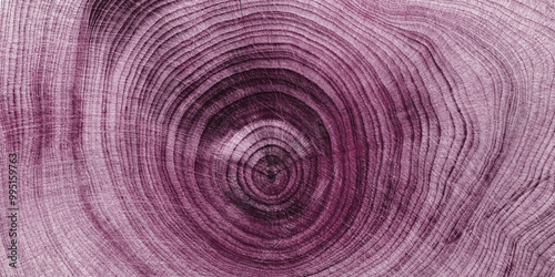 Wooden annual rings texture natural banner purple colored, round shape of wood timber as toned nature pattern. Cross-section of juniper. Wooden aesthetic texture fon, environmental design photo