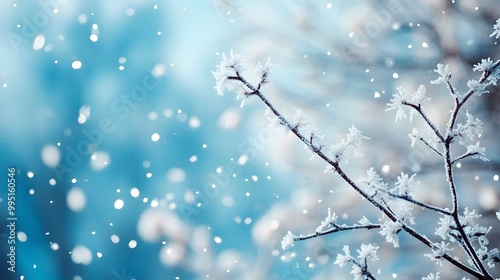 snow covered branches with snow