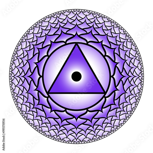 Sahasrara, thousand-petalled crown chakra. Seventh chakra, located on the top of the head. Highest spiritual centre and pure consciousness. Violet lotus with 1000 petals and a bindu in the center.