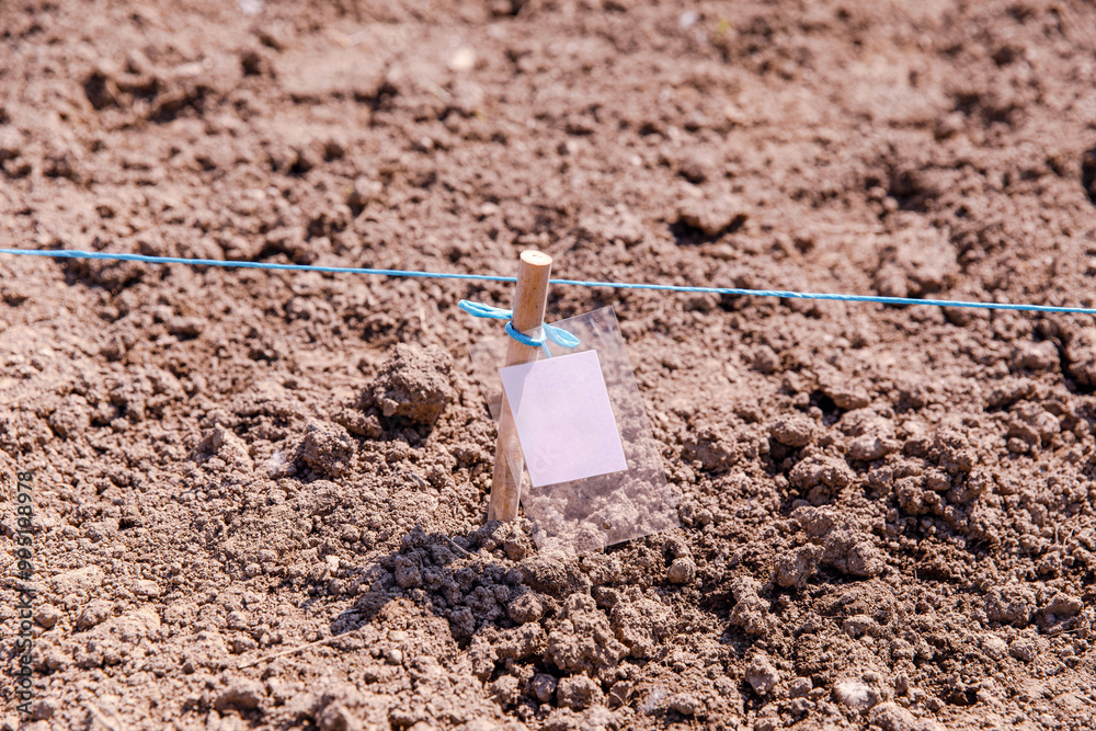 Empty seedbed with label and string line, prepared soil, ready for planting, gardening concept Empty seedbed with label and string line, prepared soil, ready for planting, gardening concept