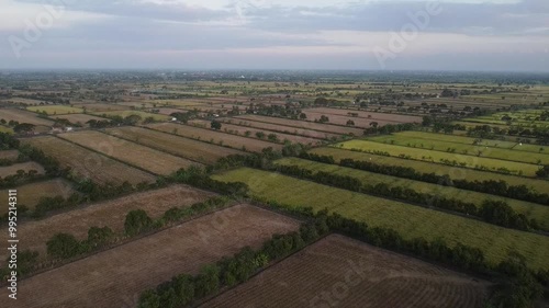 Seen from above, the view of the beautiful expanse of rice fields
