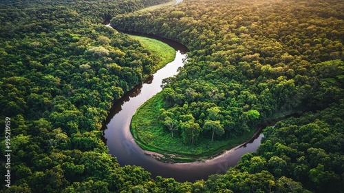 Aerial View of Winding River Through Lush Forest