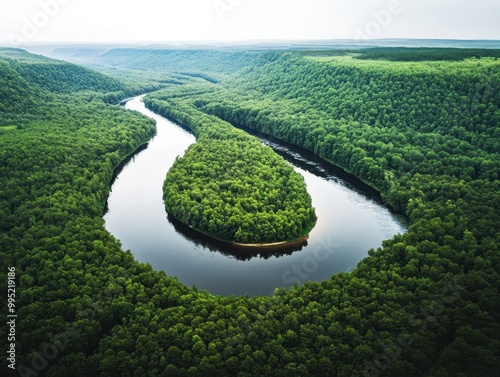 Aerial View of Winding River Through Lush Green Landscape