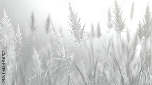 Serene Vibes. Delicate, airy, and feathery grass blades, plant texture