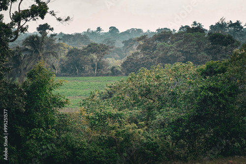 Vegetable farm land in Liliw Laguna Philippines.