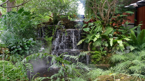 Beautiful artificial waterfall in the backyard