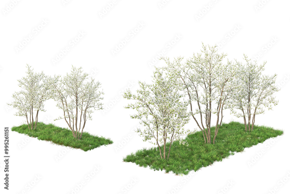 Obraz premium Trees, flowers, grass, low bushes rendered with 3dsmax