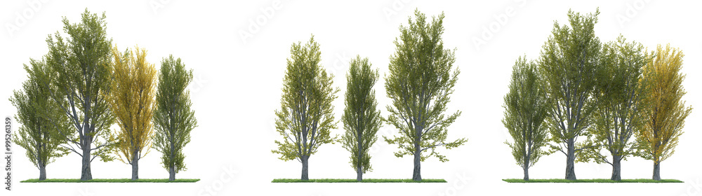 Trees, flowers, grass, low bushes rendered with 3dsmax Trees, flowers, grass, low bushes rendered with 3dsmax