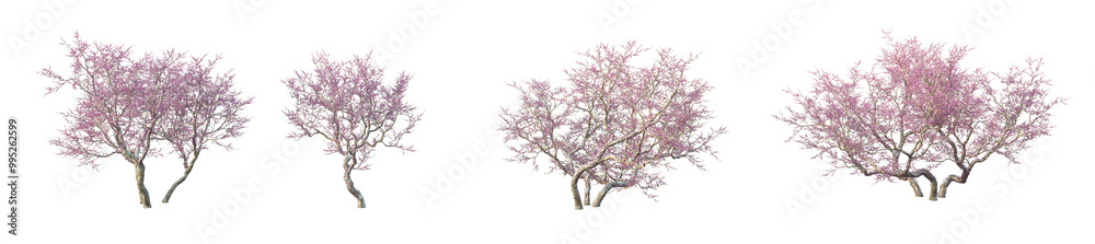 Trees, flowers, grass, low bushes rendered with 3dsmax Trees, flowers, grass, low bushes rendered with 3dsmax
