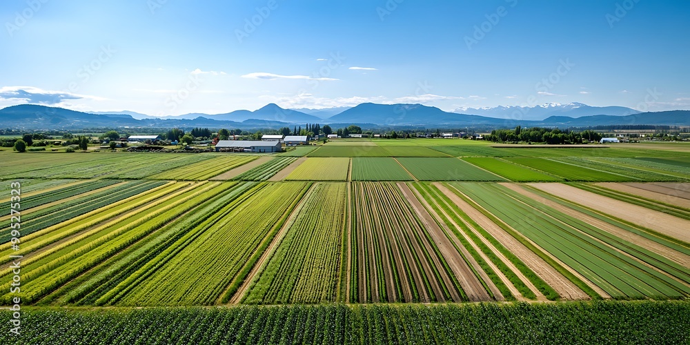 Large farm aerial view, lines of plants and food production facilities visible, blue sky, green field and great mountains on background Large farm aerial view, lines of plants and food production facilities visible, blue sky, green field and great mountains on background