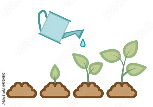 Crecimiento y desarrollo de una planta con regadera azul