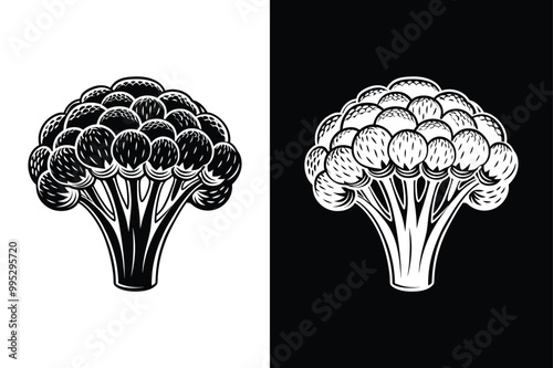 Flat Design Broccoli Icon. Customizable Black and White Version