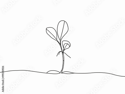 The Sprout of Vitality: Emergence from the Seed