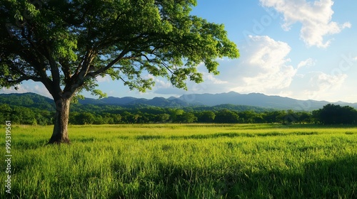 Green Grass Field with Tree and Mountains in Background