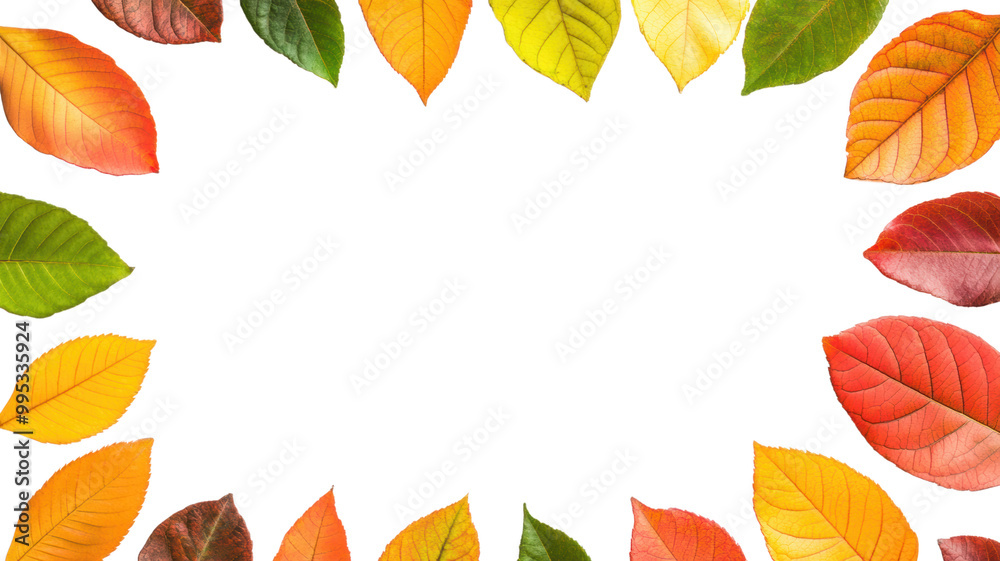 Autumn Leaves Frame on Transparent Background Autumn Leaves Frame on Transparent Background