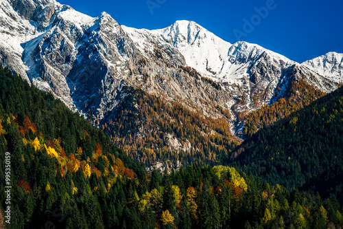 Autumn light on the Carnic Alps. Monte Coglians, Forni Avoltri and its colorful woods photo