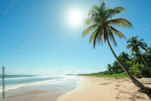 Tropical paradise beach with palm trees and bright sunlight under a clear blue sky