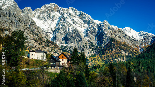 Autumn light on the Carnic Alps. Monte Coglians, Forni Avoltri and its colorful woods