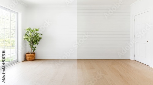 Bright and Airy Empty Room with Natural Light