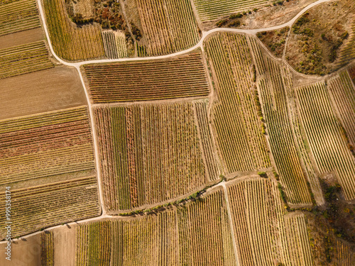 Aerial photo of patchwork vineyards landscape