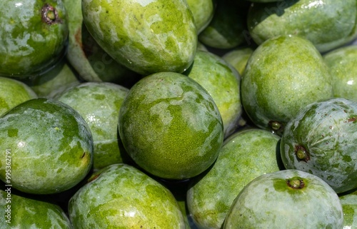 Closeup of Raw and Half Ripe Mango Heap in Horizontal Orientation