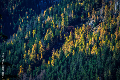 Autumn light on the Carnic Alps. Monte Coglians, Forni Avoltri and its colorful woods photo