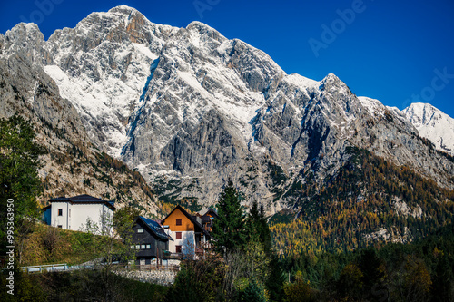 Autumn light on the Carnic Alps. Monte Coglians, Forni Avoltri and its colorful woods