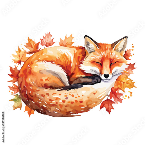 Watercolor sleeping autumn fox and leaves,
vector watercolor art isolated on white background