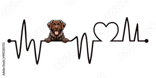 Heartbeat line with Chesapeake Bay Retriever Dog Peeking, Dog and Heartbeat frequency with Heart Love Vector illustration
