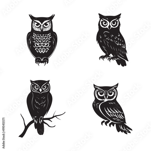 vector of black silhouette of owl bird photo