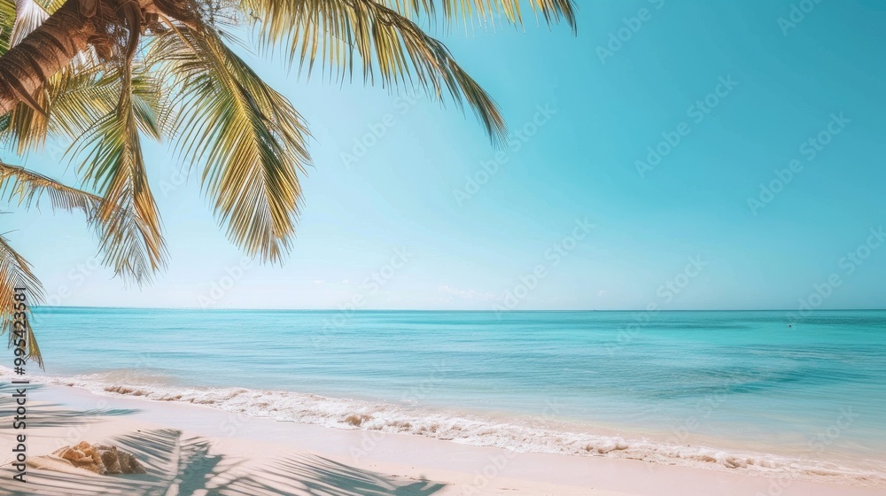 Fototapeta premium Tropical beach with ocean view clear sky and empty space for text