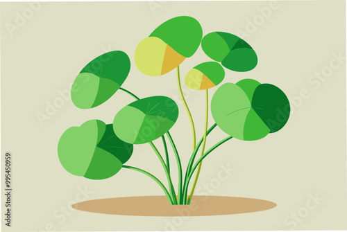 Nice water Pennywort plant vector art illustration photo