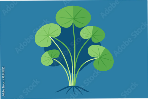 Nice water Pennywort plant vector art illustration photo