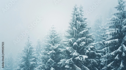 Snow covered fir trees in a mountain winter setting festive backdrop with room for text