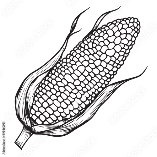 Corn on the cob with butter