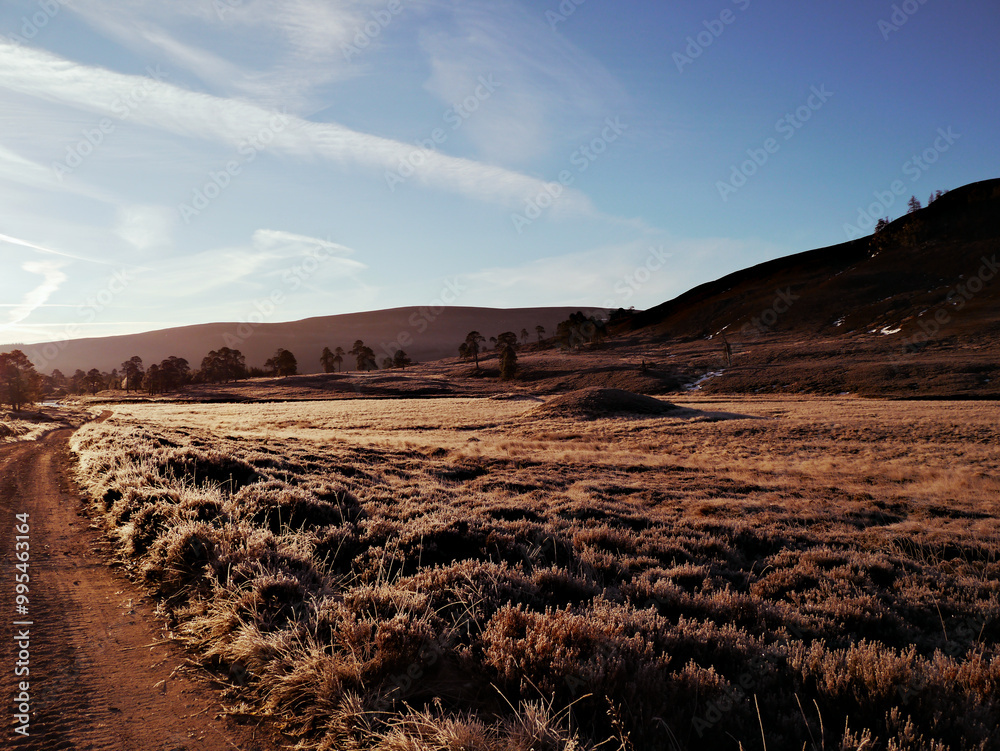 Fototapeta premium Winter sunrise in the Scottish Highlands