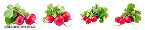 Collection of Fresh Red Radishes Isolated on Transparent Background