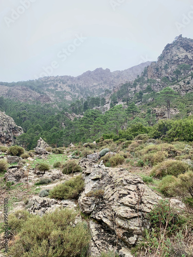 Chemin de randonnée dans le massif du Monte Padro, Asco, Corse photo