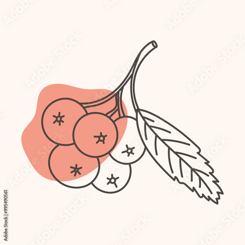 Rowan branch with berries and a leaf. Autumn icon in line style. Symbolic objects of fall.