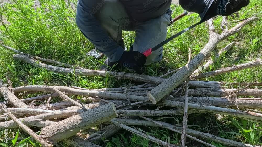 A man saws sticks for a fire on the river bank A man saws sticks for a fire on the river bank