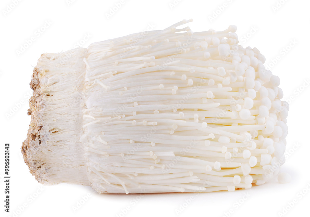 Fresh golden needle mushroom or enoki isolated on a white background Fresh golden needle mushroom or enoki isolated on a white background