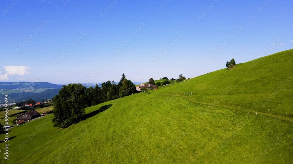 panoramic view of a Swiss farms in lush green scenery featuring peaceful Alpine countryside with cows grazing in Switzerland panoramic view of a Swiss farms in lush green scenery featuring peaceful Alpine countryside with cows grazing in Switzerland