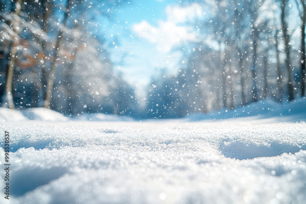 Fototapeta premium Winter Landscape with Falling Snow