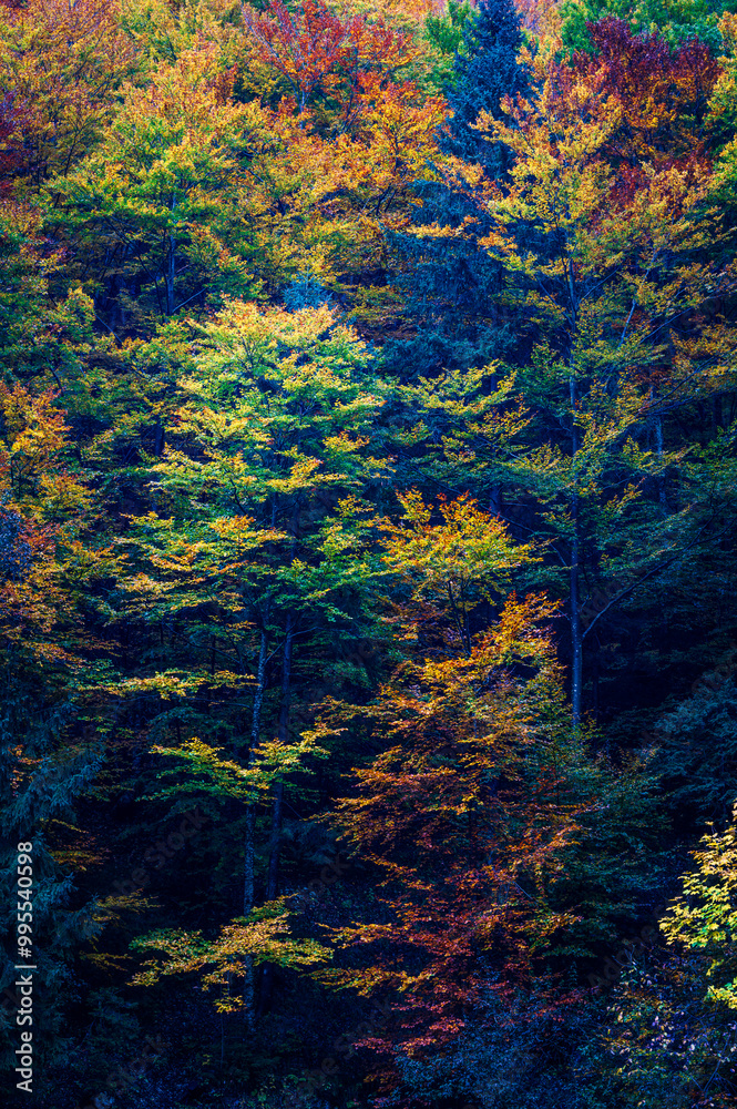 Autumn in Val Raccolana. Between peaks, lakes and streams. Julian Alps Autumn in Val Raccolana. Between peaks, lakes and streams. Julian Alps